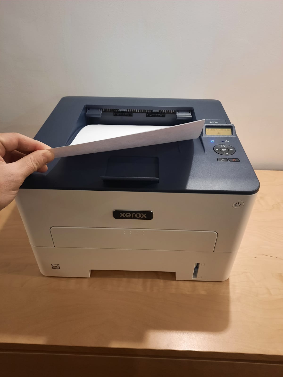 Xerox B230V_DNI Druckausgabe